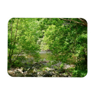 Patapsco River View Maryland Naturfotografie Magnet