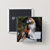 Patas Affe Button (Vorne & Hinten)