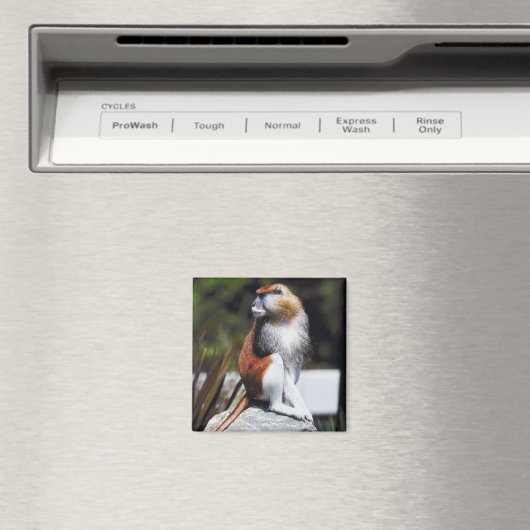 Patas-Affe Magnet (In Situ (Geschirrspüler))