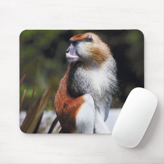Patas-Affe Mousepad (Mit Mouse)