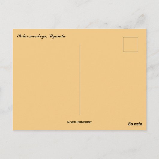 Patas Affen in Uganda Postkarte (Rückseite)