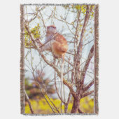 Patas ist Up a Tree Decke (Vorderseite Vertikal)