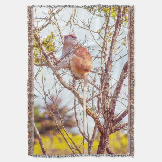 Patas ist Up a Tree Decke (Vorderseite Vertikal)