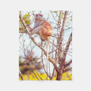 Patas ist Up a Tree Fleecedecke