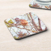 Patas ist Up a Tree Getränkeuntersetzer (Linke Seite)