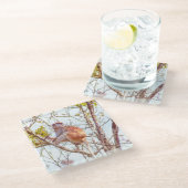 Patas ist Up a Tree Glasuntersetzer (Schrägansicht)