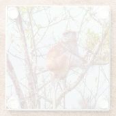 Patas ist Up a Tree Glasuntersetzer (Rückseite)