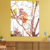 Patas ist Up a Tree Leinwanddruck (Insitu (Wohnzimmer))