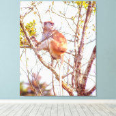 Patas ist Up a Tree Leinwanddruck (Insitu (Holzboden))