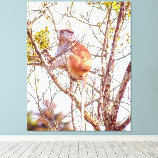 Patas ist Up a Tree Leinwanddruck (Insitu (Holzboden))