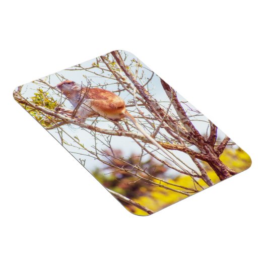 Patas ist Up a Tree Magnet (Rechte Seite)