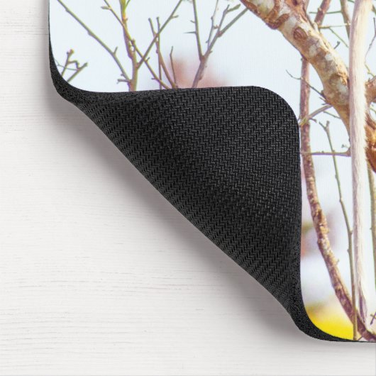 Patas ist Up a Tree Mousepad (Ecke)
