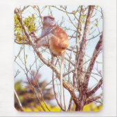 Patas ist Up a Tree Mousepad (Vorne)