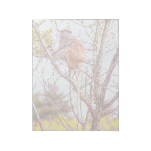 Patas ist Up a Tree Notizblock (Rotiert)