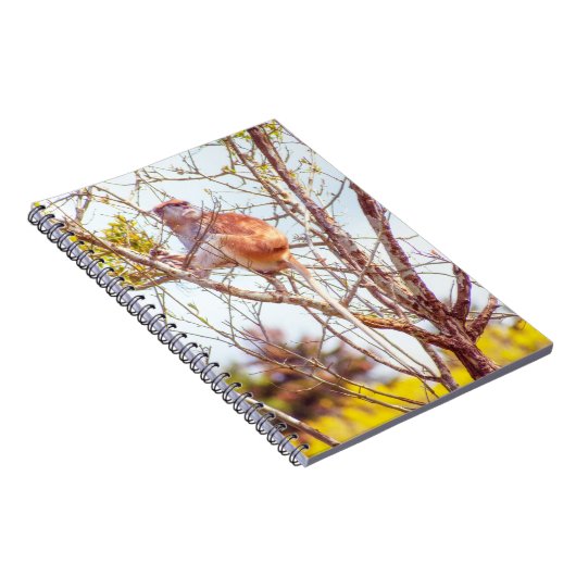 Patas ist Up a Tree Notizblock (Rechte Seite)