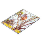 Patas ist Up a Tree Notizblock (Linke Seite)