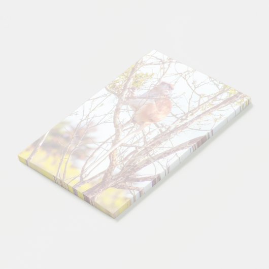 Patas ist Up a Tree Post-it Klebezettel (angewinkelt)