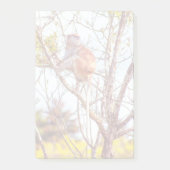 Patas ist Up a Tree Post-it Klebezettel (Vorderseite)