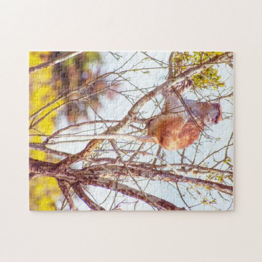 Patas ist Up a Tree Puzzle (Horizontal)