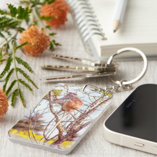 Patas ist Up a Tree Schlüsselanhänger (Vorderseite rechts)