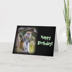 Patas Monkey Birthday Karte