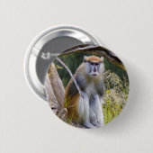 Patas Monkey Button (Vorne & Hinten)