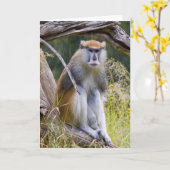 Patas Monkey Karte (Gelbe Blume)