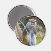 Patas Monkey Magnet (Vorderseite/Rückseite)