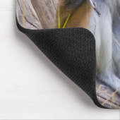 Patas Monkey Mousepad (Ecke)