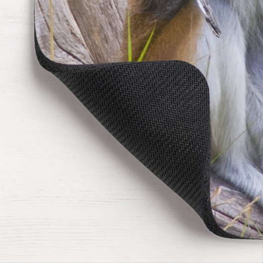 Patas Monkey Mousepad (Ecke)