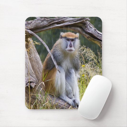 Patas Monkey Mousepad (Mit Mouse)