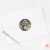 Patas Monkey Runder Aufkleber (Umschlag)