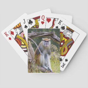 Patas Monkey Spielkarten