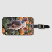 **"Patch of Joy: A Happy Baby Pig Under Pumpkins"* Gepäckanhänger (Vorderseite (Horizontal))
