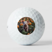 **"Patch of Joy: A Happy Baby Pig Under Pumpkins"* Golfball (Vorderseite)