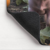 **"Patch of Joy: A Happy Baby Pig Under Pumpkins"* Mousepad (Ecke)