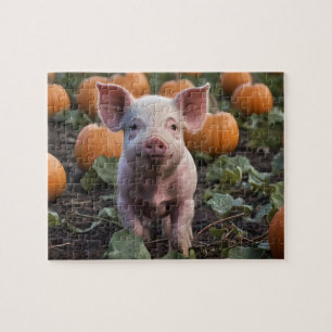 **"Patch of Joy: A Happy Baby Pig Under Pumpkins"* Puzzle