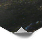 Patch of Underbrush in the Forest Poster (Ecke)