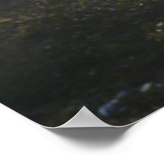 Patch of Underbrush in the Forest Poster (Ecke)