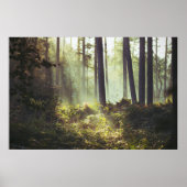 Patch of Underbrush in the Forest Poster (Vorne)