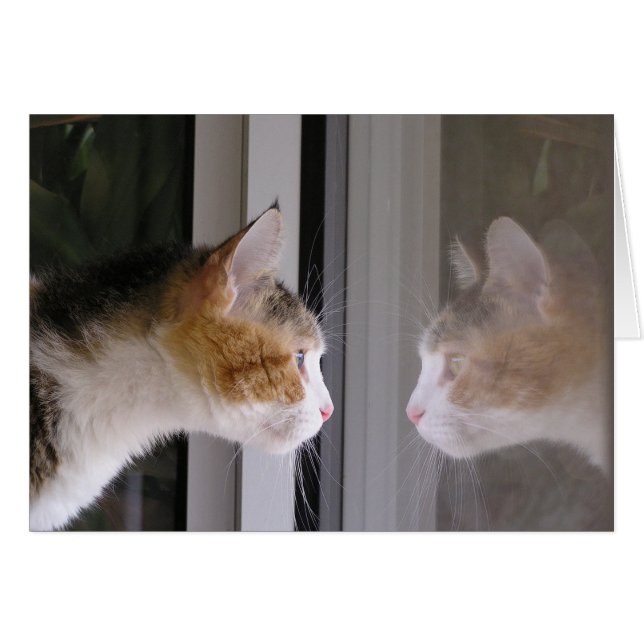 Patches (Vorderseite (Horizontal))