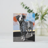 Patches - Blue Tick Pointer -1 Postkarte (Stehend Vorderseite)