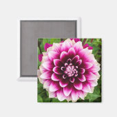 Patches Dahlia Magnet (Vorderseite/Rückseite)