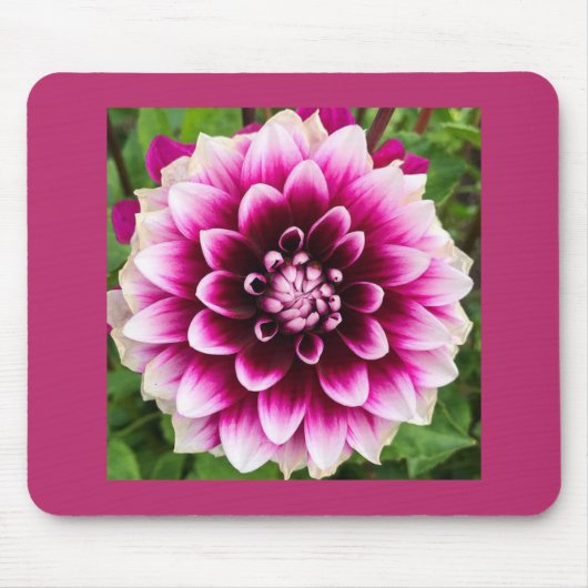 Patches Dahlia Mousepad (Vorne)