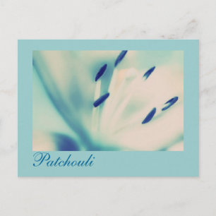 Patchouli Lido Postcard Floral Digitale Kunst Postkarte