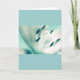 Patchouli Lily, Blume, Grußkarten Karte