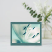 Patchouli Lily, Blume, Vorlage Postkarten Einladun (Stehend Vorderseite)
