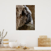 Patchwork Amy Poster (Küche)