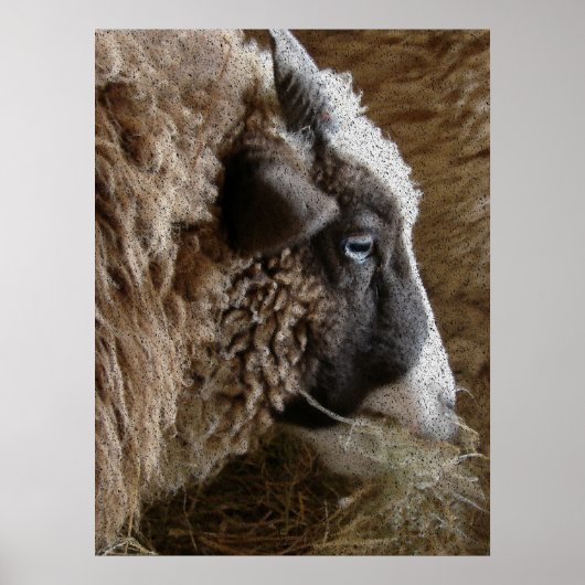 Patchwork Amy Poster (Vorne)