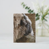 Patchwork Amy Postkarte (Stehend Vorderseite)